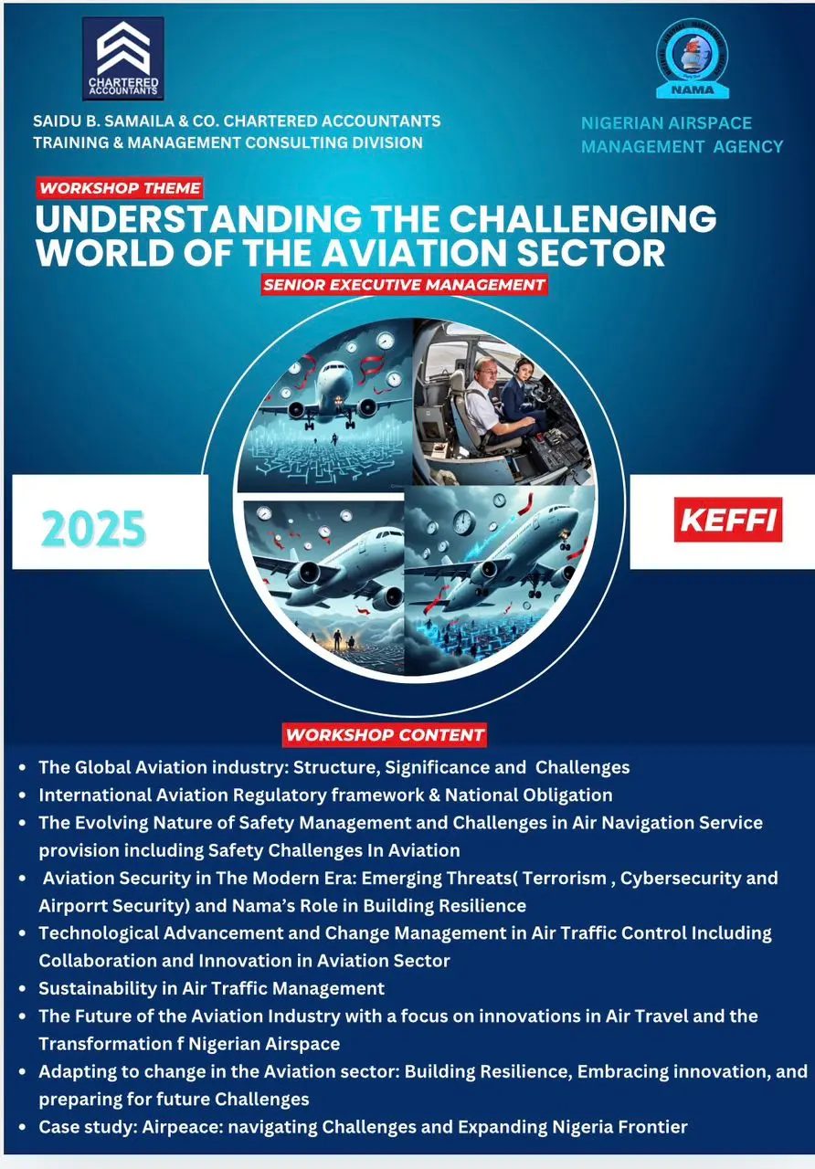 Understanding the Challenging World of the Aviation Sector